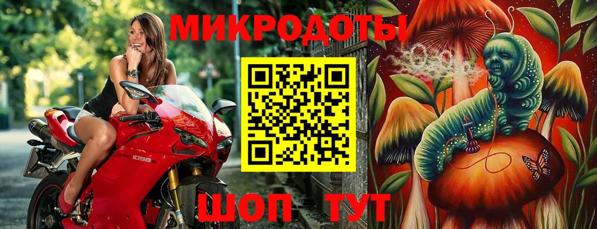 Галлюциногенные грибы Psilocybine cubensis  Псилоцибиновые грибы Magic Shrooms  Вход с VPN  Тельмана 